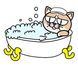 DAIZU sticker #1844909