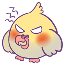 Cockatiel Jin's Daily sticker #1846185