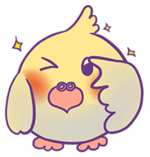 Cockatiel Jin's Daily sticker #1846186