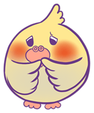 Cockatiel Jin's Daily sticker #1846187