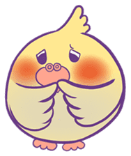 Cockatiel Jin's Daily sticker #1846187