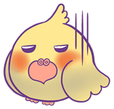 Cockatiel Jin's Daily sticker #1846193