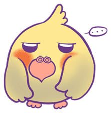 Cockatiel Jin's Daily sticker #1846200
