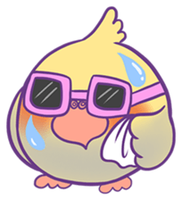 Cockatiel Jin's Daily sticker #1846208