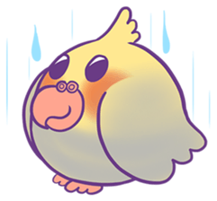 Cockatiel Jin's Daily sticker #1846209