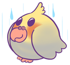 Cockatiel Jin's Daily sticker #1846209