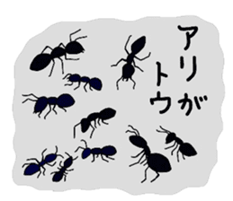 many insects words sticker #1847585