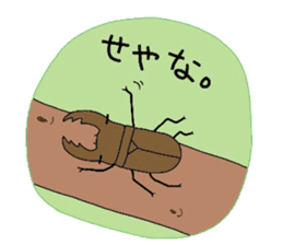 many insects words sticker #1847599