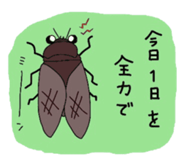 many insects words sticker #1847601