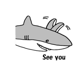 The pretty shark sticker #1850705