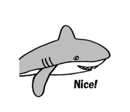 The pretty shark sticker #1850710