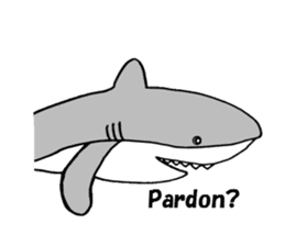 The pretty shark sticker #1850712