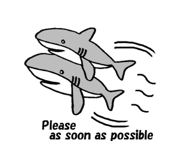 The pretty shark sticker #1850721
