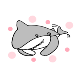 The pretty shark sticker #1850726