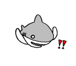 The pretty shark sticker #1850730