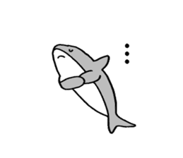 The pretty shark sticker #1850731