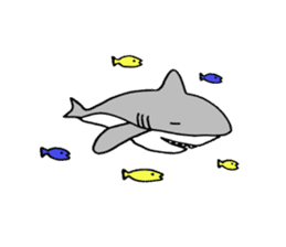 The pretty shark sticker #1850738