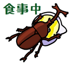 beetles and stag beetles sticker #1851663