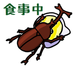 beetles and stag beetles sticker #1851663