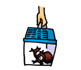 beetles and stag beetles sticker #1851671