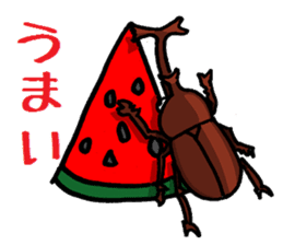 beetles and stag beetles sticker #1851696