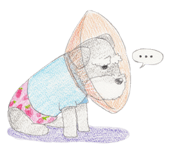 Fu-chan of Schnauzer sticker #1852785