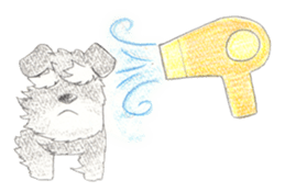 Fu-chan of Schnauzer sticker #1852802