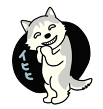 cute husky dogs sticker #1853039