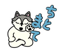 cute husky dogs sticker #1853041