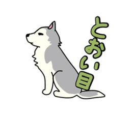 cute husky dogs sticker #1853056