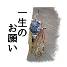 Animal realistic sticker #1853144