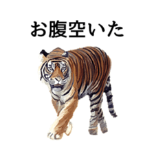 Animal realistic sticker #1853149