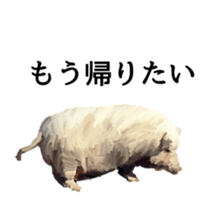 Animal realistic sticker #1853153