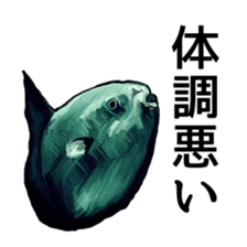 Animal realistic sticker #1853154