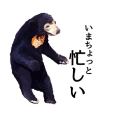 Animal realistic sticker #1853155