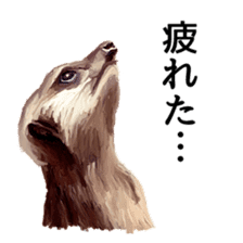 Animal realistic sticker #1853156