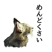 Animal realistic sticker #1853157