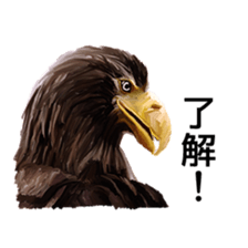 Animal realistic sticker #1853161