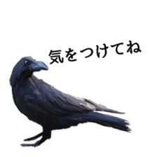 Animal realistic sticker #1853165