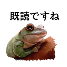 Animal realistic sticker #1853176