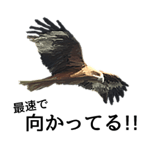 Animal realistic sticker #1853178