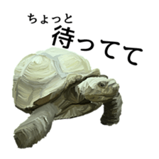 Animal realistic sticker #1853180