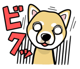 iinu - Shiba sticker #1854469