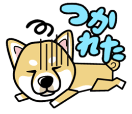 iinu - Shiba sticker #1854470