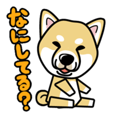 iinu - Shiba sticker #1854476