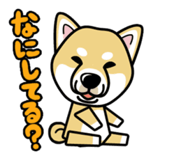 iinu - Shiba sticker #1854476