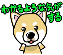 iinu - Shiba sticker #1854485