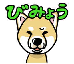 iinu - Shiba sticker #1854487