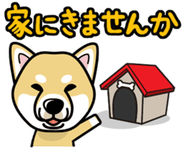iinu - Shiba sticker #1854488