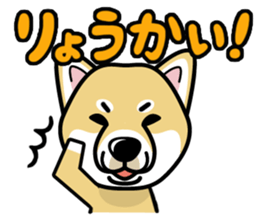 iinu - Shiba sticker #1854491